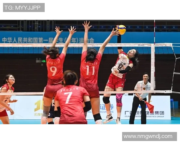 杭州排球队逆袭之路揭秘冠军赛背后的奋斗与荣耀