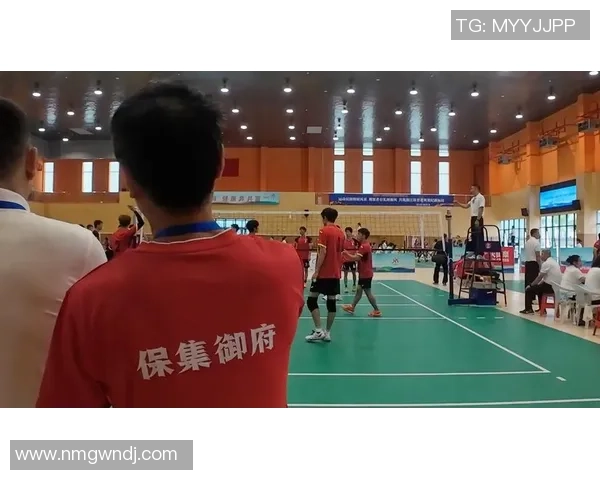 杭州排球队实力解析：挑战与机遇并存的排球盛宴