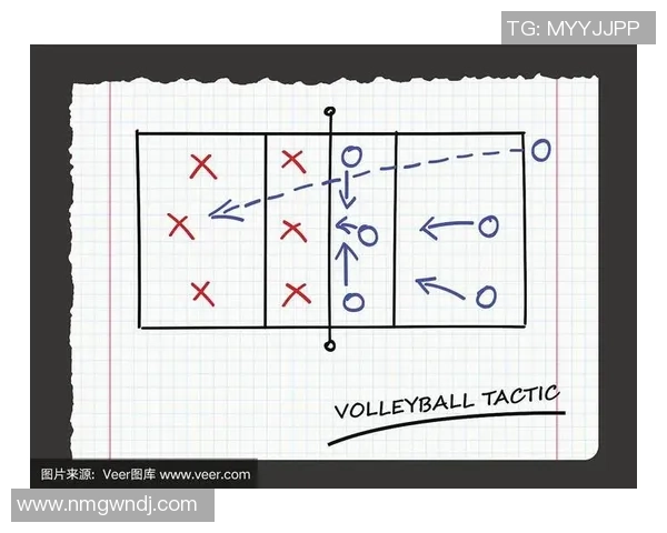 重庆排球队战术解析与对比深度剖析球队优势与不足之处