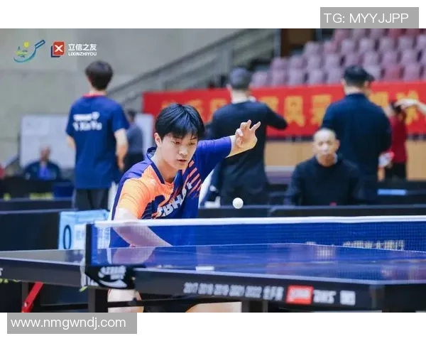 数据分析：杭州乒乓球队的团队协作表现