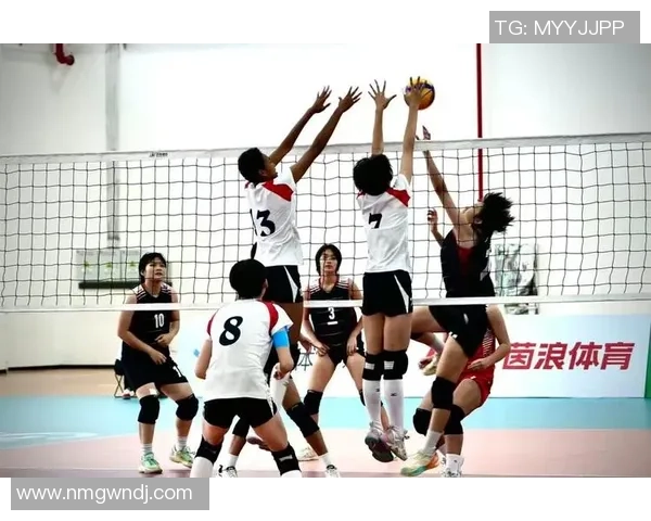 专业解读：上海排球队的快攻打法