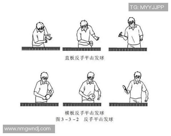 乒乓球战术：杭州乒乓球队的运营体系