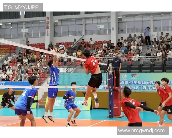 聚焦排球:南京排球队的灵活性话题 聚焦排球:南京排球队的灵活性话题